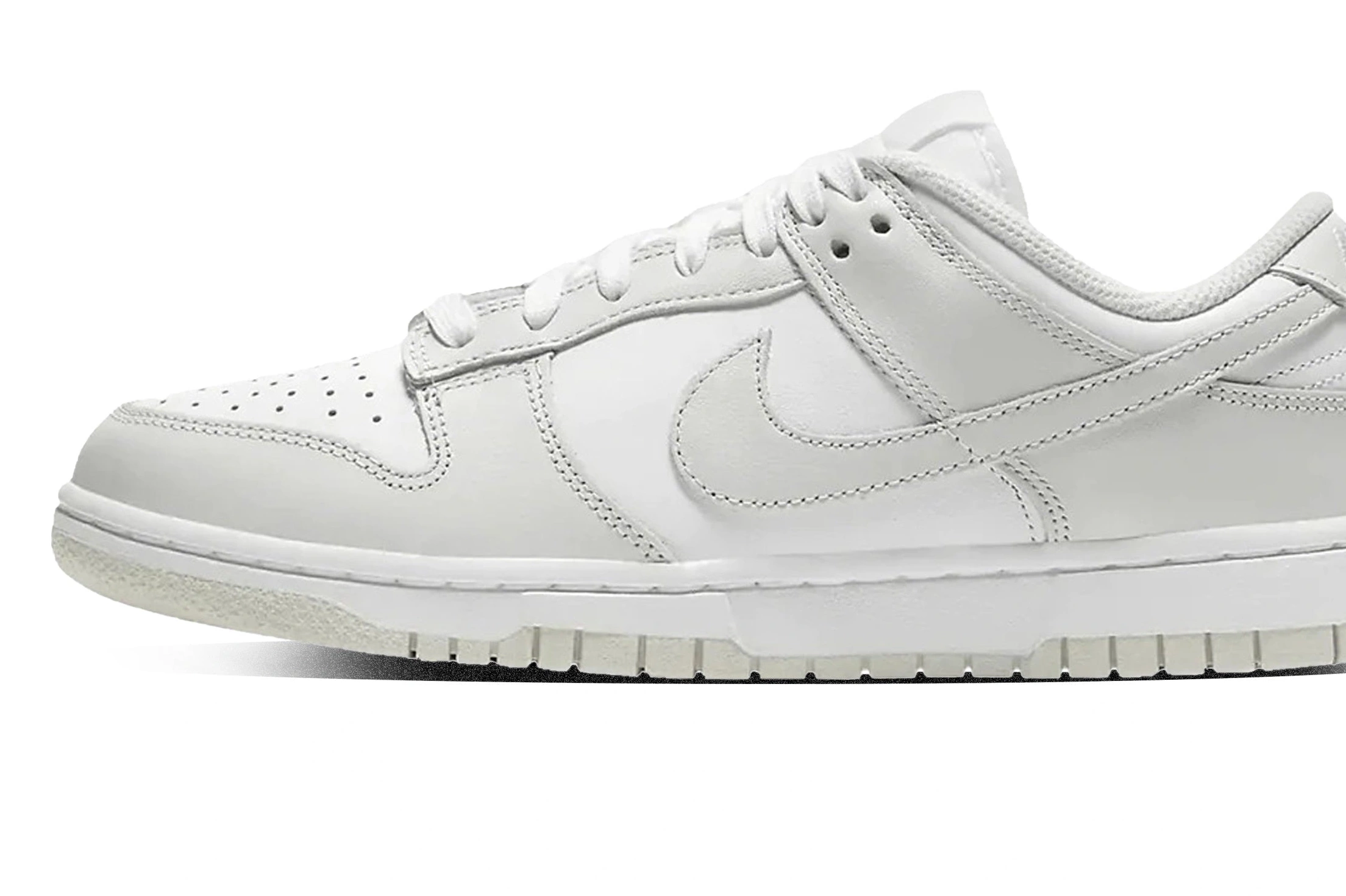 W Low Nike Dunk Dust Photon 0731